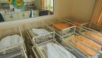 Joburg Moms want answers from hospital on how babies got swapped at birth