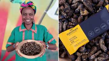 "I want to test": Woman who makes chocolates from mopane worms stirs reactions