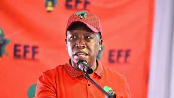 Malema says EFF has nothing to declare to the IEC, says party doesn't take donations over 100k