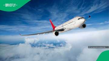 World sets new record with 153,359 commercial flights in a single day