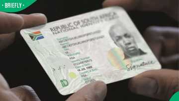 “Not changing my green book”: Mzansi react as Home Affairs launches new online Smart ID tool