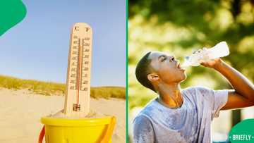 Cape Town to experience heatwave, residents warned of high temperatures