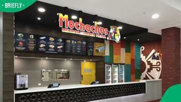 “No one is going to win”: Mochachos launches Doomsday Dynamite Wings Challenge