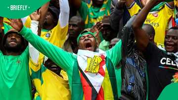 Zimbabwe Warriors get iconic SA venue for tough FIFA World Cup qualifier