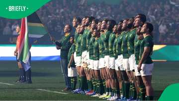 Rassie Erasmus makes 13 changes to Springbok team to face Australia in Perth