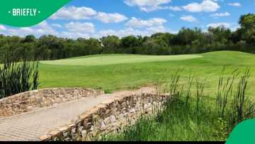 Skukuza Golf Club drenched: Rain turns wild fairways into flooded adventure