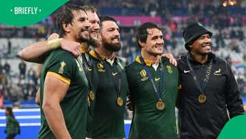 Springboks hit by another injury setback ahead of Test Season after Siya Kolisi blow