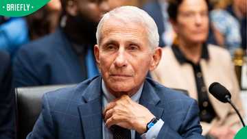 Dr Anthony Fauci invokes fifth amendment during US senate hearing on Covid-19 origins