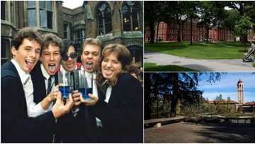 Top 10 best universities in the world announced, African schools absent
