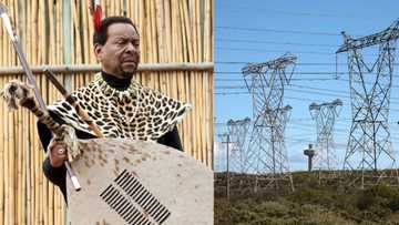 Millions of Rands Spent by Eskom To Cut Loadshedding for King's Memorial