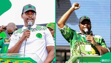 Bongani Baloyi says Floyd Shivambu inflated his value to MK Party, SA agrees it caused his downfall