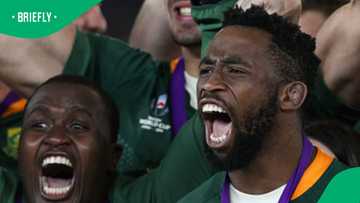 Springboks’ golden era under fire as drug-testing row erupts