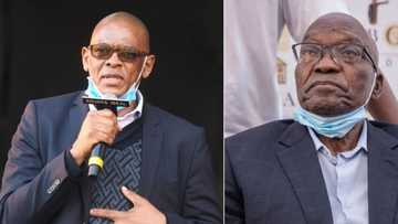 ANC does not believe Zuma's arrest affected votes, Ace Magashule is MIA