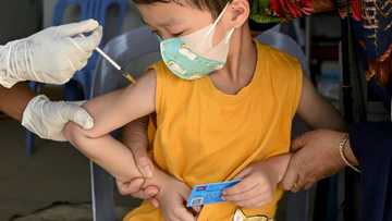 Covid vaccines saved 20 million lives in first year: study