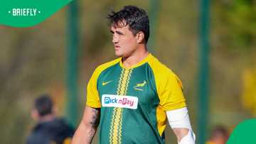 Franco Mostert’s life beyond rugby: Inside his farm business near Crocodile River