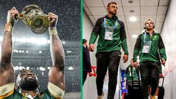 RWC: Springboks arrive in OR Tambo International Airport, South Africa welcomes champions home