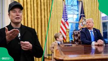 Elon Musk's son sparks stir with bold remarks to US president Donald Trump during Oval Office visit