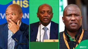 ANC members reportedly back Patrice Motsepe as president for 2027