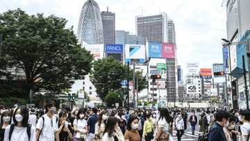 Japan introduces up to one-year jail time for cyberbullying