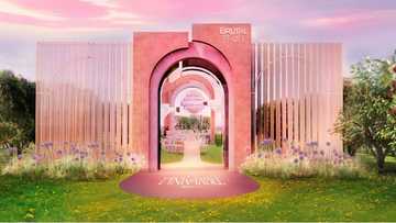 Brutal Fruit Spritzer Brings The Pink Table Magic to Johannesburg