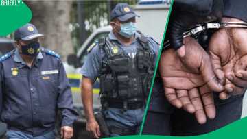 Hawks nab 13 officers in Gauteng over corruption and extortion allegations