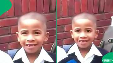 “Toothless is so funny”: Young boy’s funny faces on live TV leave SA in stitches, SA cracks jokes
