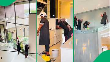 "Great work": Deep cleaning viral TikTok video leaves South Africans impressed