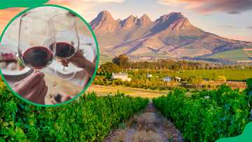11 highly-recommended restaurants in Franschhoek: Hidden gems and classics