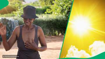 High fire risk and 40°C temperatures expected across SA inland provinces on Thursday