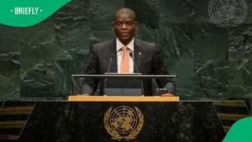 Ronald Lamola pushes for UN inequality panel with Brazil, Norway and Spain amid backlash
