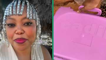 A woman posted a video of her child's expensive school bag, sparks conversation among Mzansi