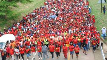 "#ChooseEFF" trends as Mzansi shares why they are loyal to the party