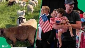 South Africans abroad praise refugee for bringing farming roots to the US