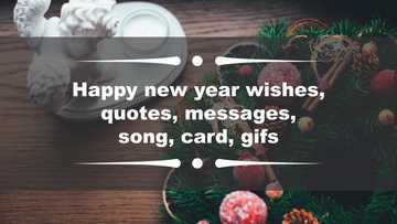 Beautiful Happy New Year wishes, quotes, messages, song, card, gifs
