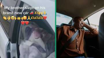 Eastern Cape Man sleeps in new car overnight, South Africans share their hilarious experiences