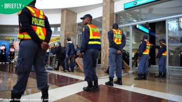 116 drug mules busted at OR Tambo Airport in 2 years, police reveal
