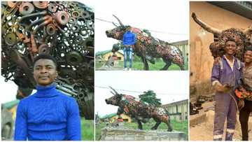Man shows great artistic skills, makes brazen bull from metal wastes