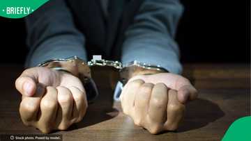 OR Tambo cocaine bust sparks debate as South Africans discuss how drug mules should be handled
