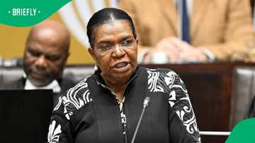 Dina Pule appointed Social Development Minister despite 2013 Parliament scandal