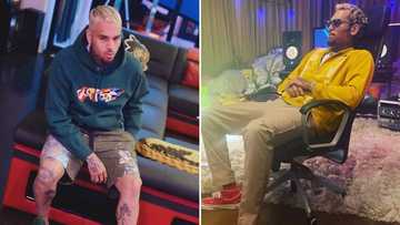 Chris Brown's fans demand apology after leaked texts suggest victim allegedly lied about sexual assault claims