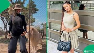 "Food can dance?": A lion's facial expressions to a woman's viral dance have Mzansi in stitches