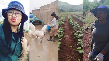 Girl power: Female Farmers set goals, proving that hard work pays off