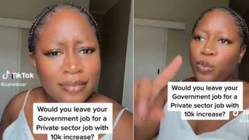 Mpumalanga woman loves SA government job and would reject R10k increase in private sector to remain public servant