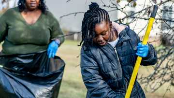 The neighbor’s kids cleaned every Sunday — What I discovered left me stunned