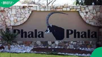 IPID report on Phala Phala break-in declassified, says police minister