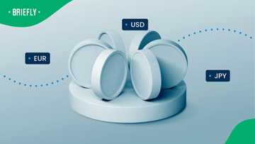 Dollar-gold divergence: Navigating the 2026 reserve asset shift