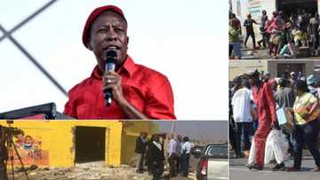 Ndlozi: EFF critical of 'state-sponsored war' on foreign nationals