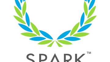 Spark Schools fees 2022, admission, tuition, uniform, vacancies, branches