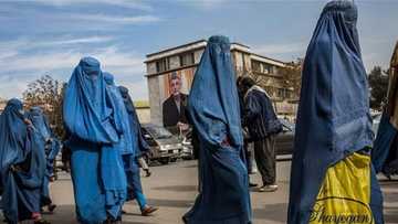 Taliban takeover: Afghan women barred from doing jobs that men can do