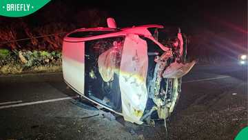 “Thankful she is alive”: SA reacts after woman rolls vehicle while avoiding kudu on Oudtshoorn road